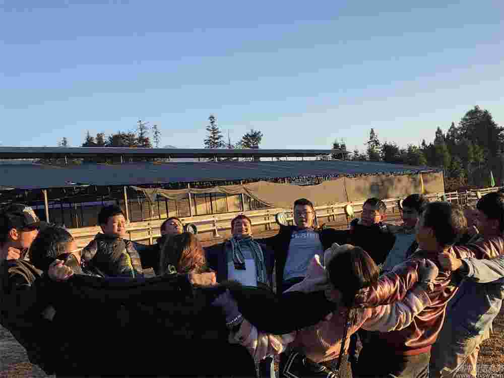 團隊建設(shè)、熔煉凝聚力